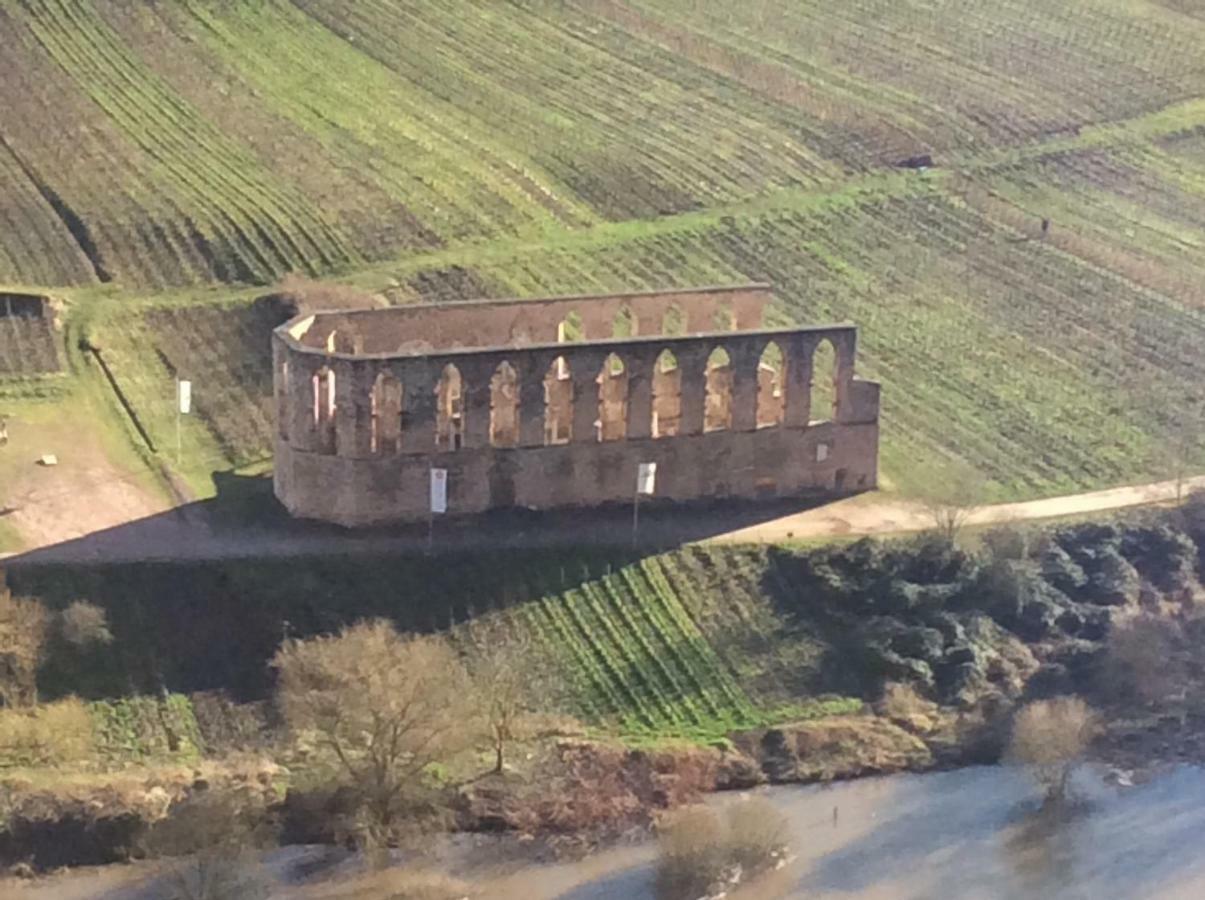 Villa Storchenhaus Bremm Esterno foto